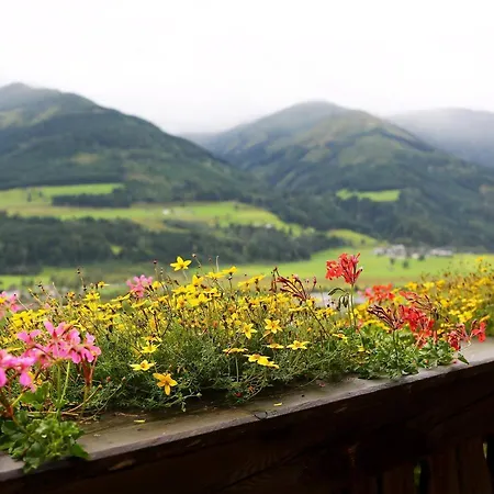 Panorama Ematberg Mit Bergblick Und Sauna * Niedernsill