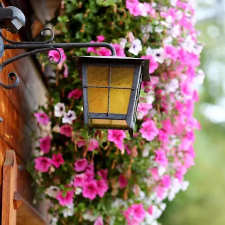 Panorama Ematberg Mit Bergblick Und Sauna *