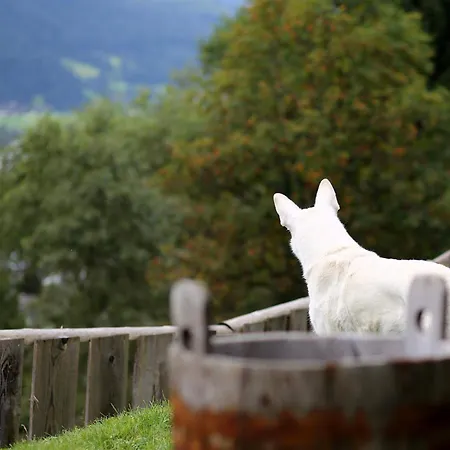 Panorama Ematberg Mit Bergblick Und Sauna