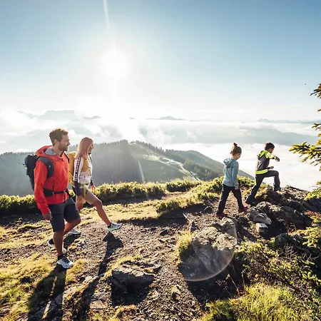 Panorama Ematberg Mit Bergblick Und Sauna Holiday home Niedernsill
