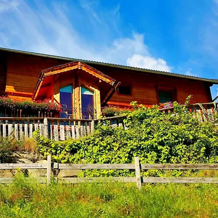 Panorama Ematberg Mit Bergblick Und Sauna Dom wakacyjny Niedernsill