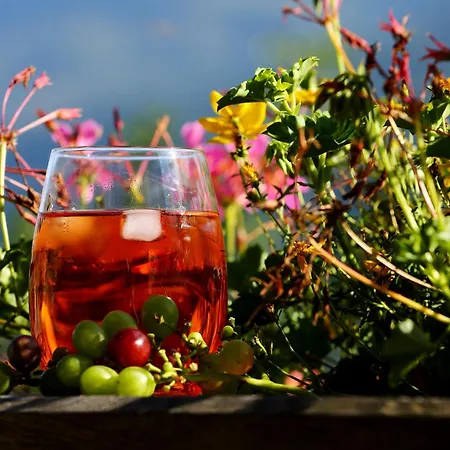 Dom wakacyjny Panorama Ematberg Mit Bergblick Und Sauna